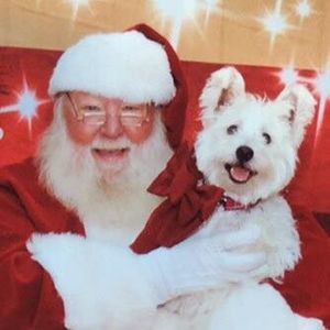 Meet your Posher, Gryffin